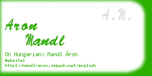 aron mandl business card