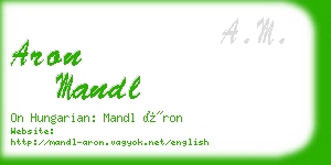 aron mandl business card